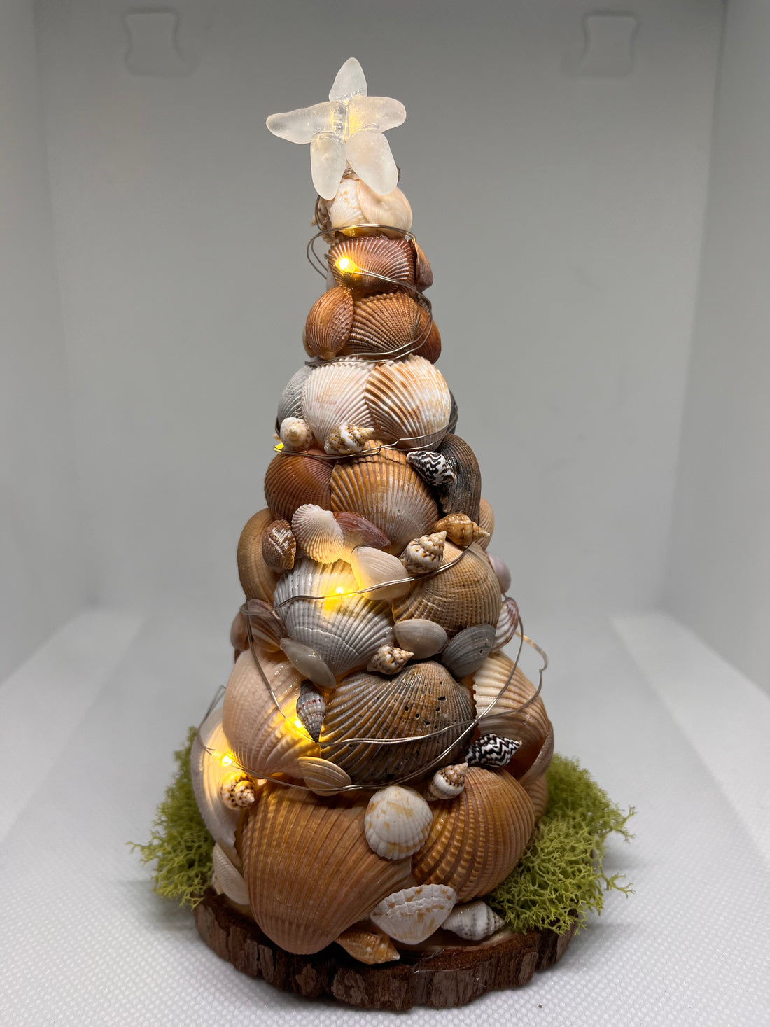 Popular Product: Seashell and sea glass Christmas trees with LED lights!